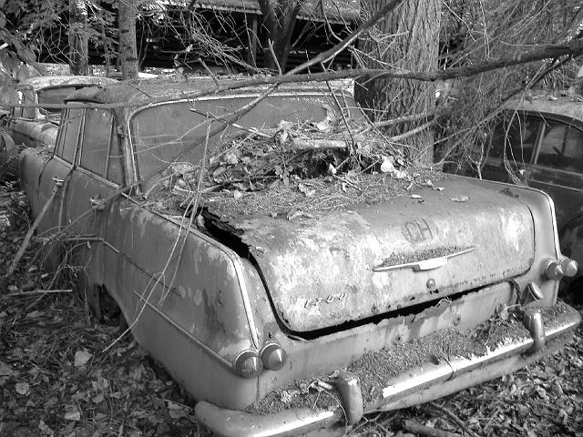 Autofriedhof - 083.JPG - Historischer Autofriedhof,    Gürbetal (CH)